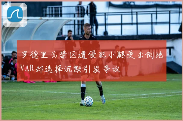 罗德里戈禁区遭侵犯小腿受击倒地VAR却选择沉默引发争议