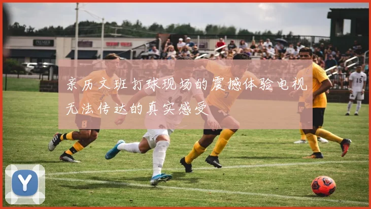 亲历文班打球现场的震撼体验电视无法传达的真实感受