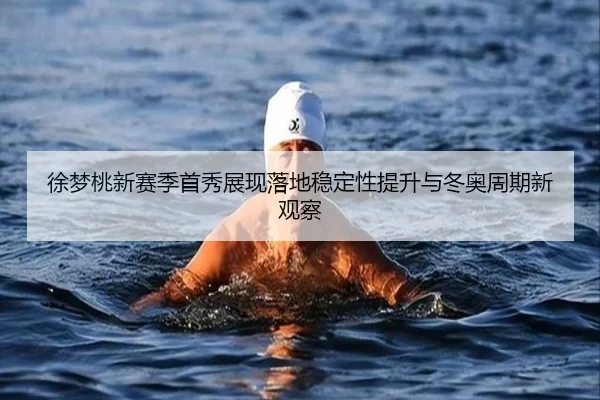 徐梦桃新赛季首秀展现落地稳定性提升与冬奥周期新观察 - BAJIESPORTS