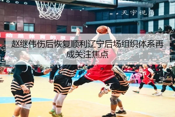赵继伟伤后恢复顺利辽宁后场组织体系再成关注焦点 - BAJIESPORTS